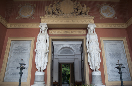Musei