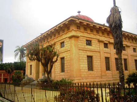 Orto botanico