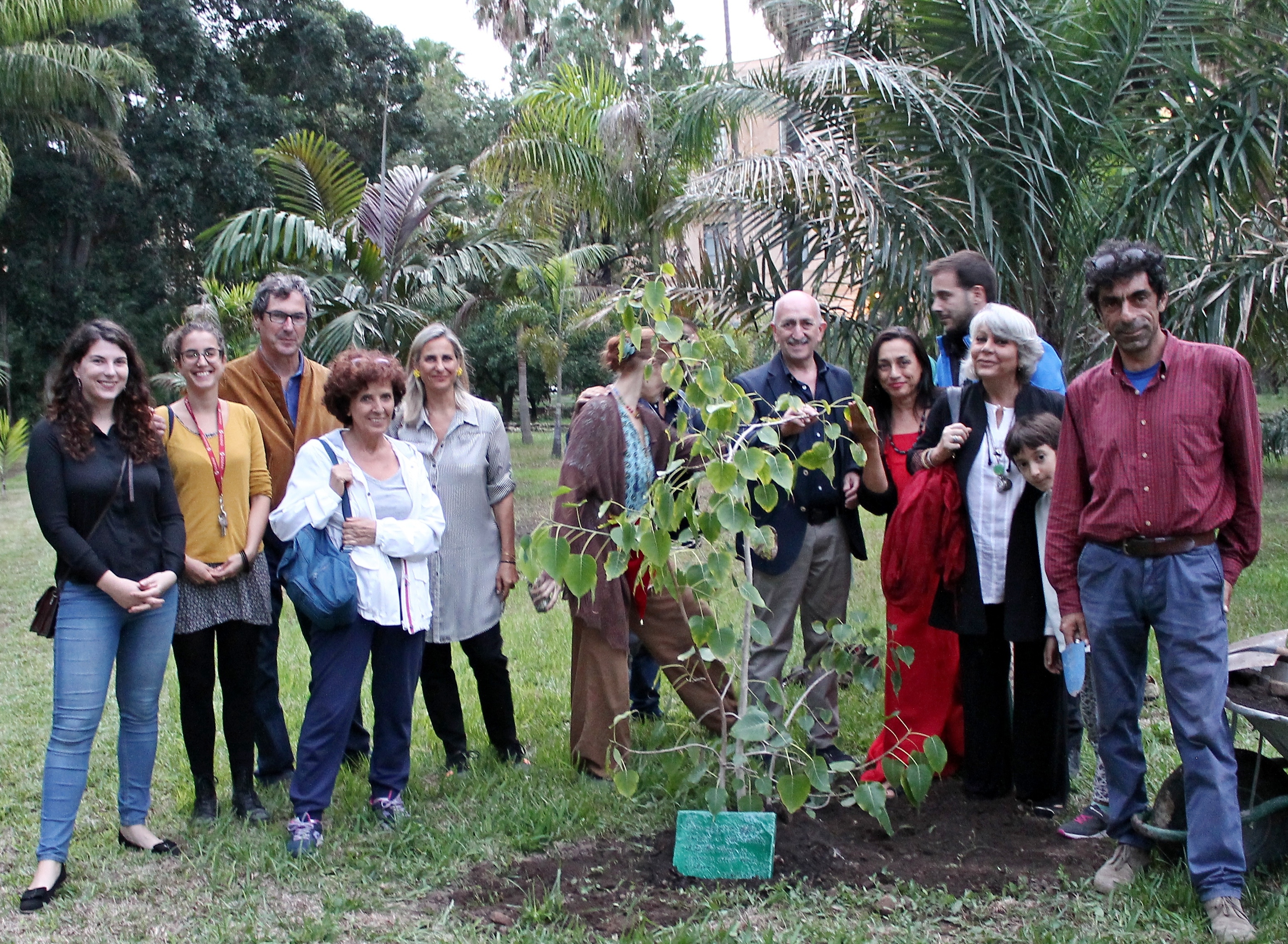 Orto Ficus Dalai Lama
