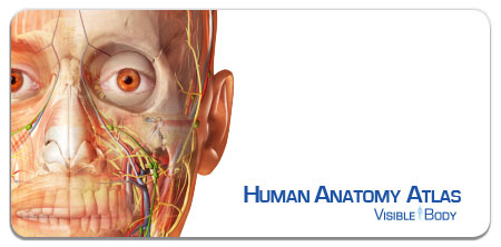 Visible Body Human Anatomy 2020: accesso di prova gratuito e training a distanza