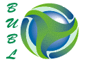 logo_bublink
