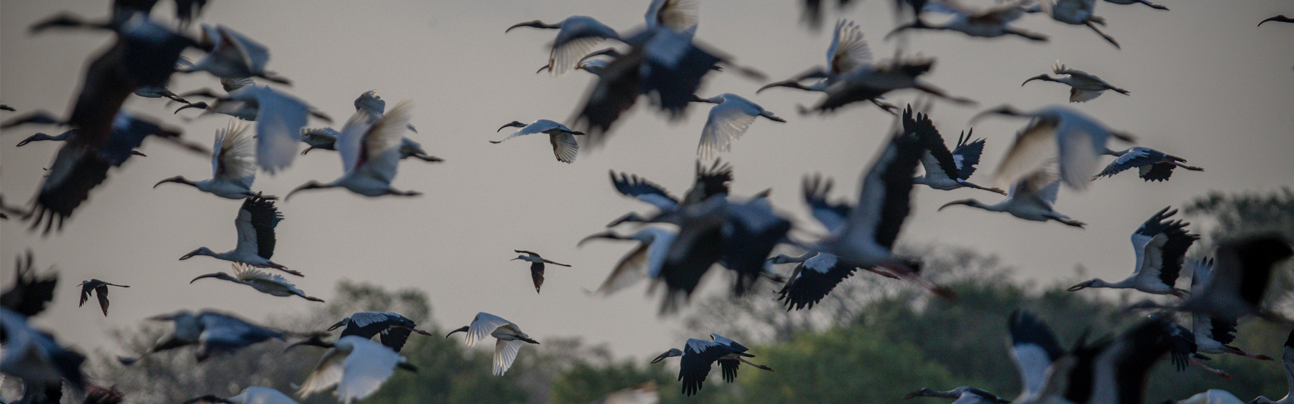 Photo by Mohamed Ahsan