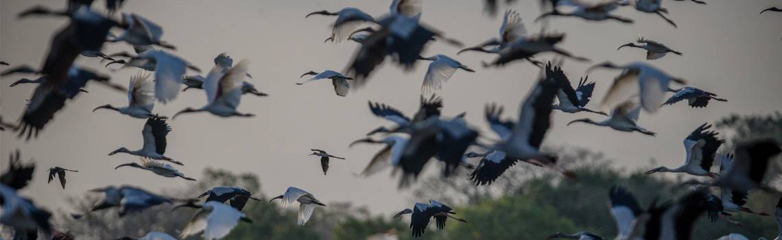 Photo by Mohamed Ahsan