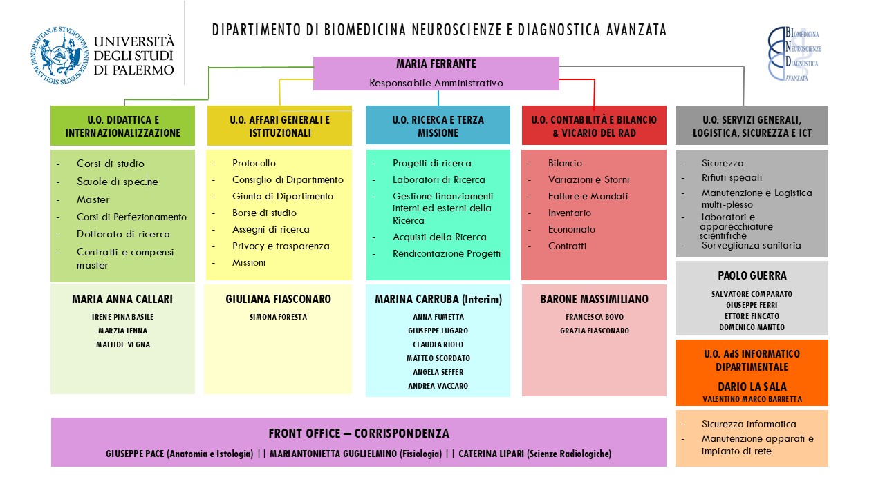 Organigramma Bind anno 2025