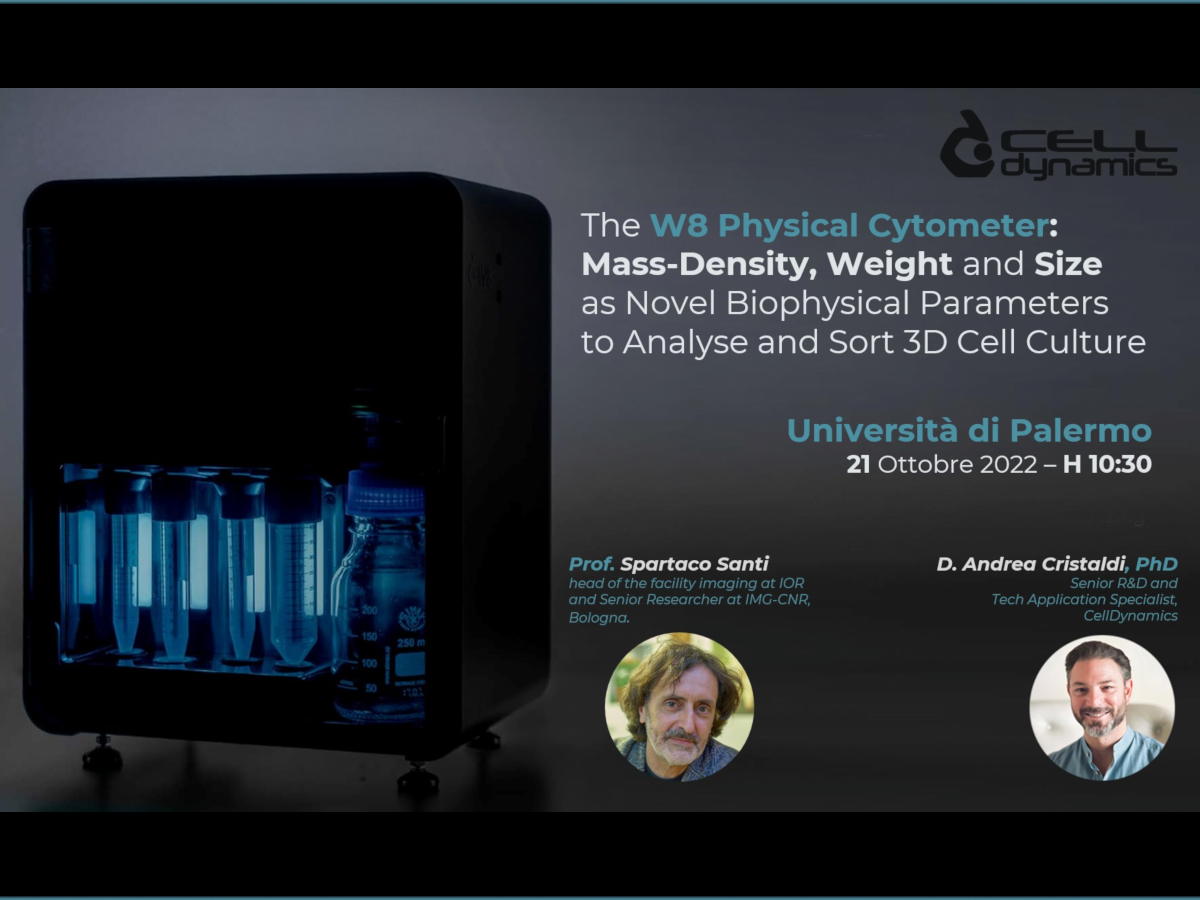 Webinar-Palermo-Flyer- Webinar-Palermo-Flyer-