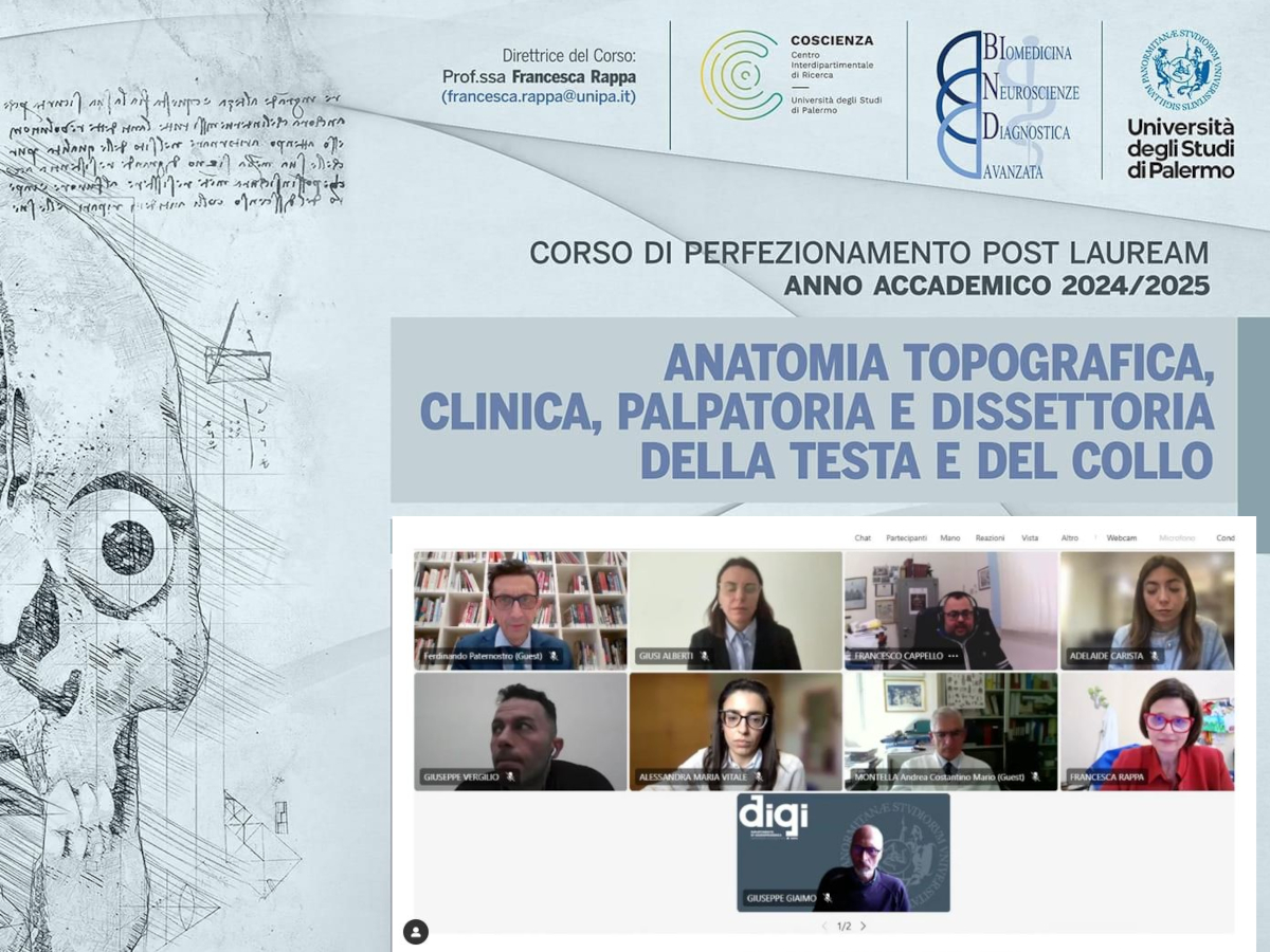 Anatomia Topografica