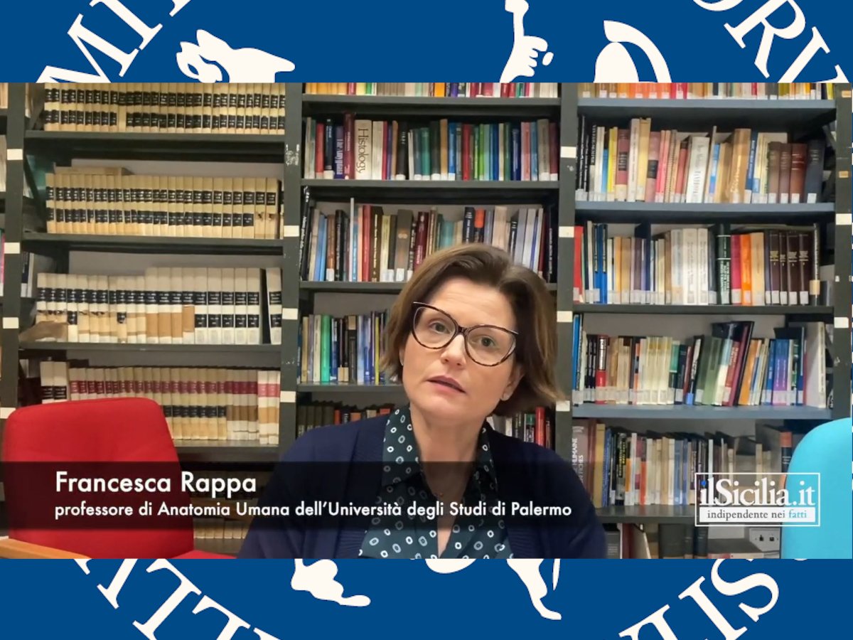 Intervista Rappa