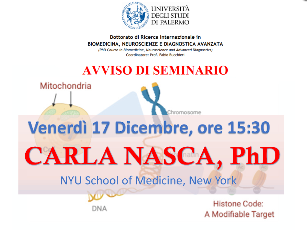 Seminario Nasca