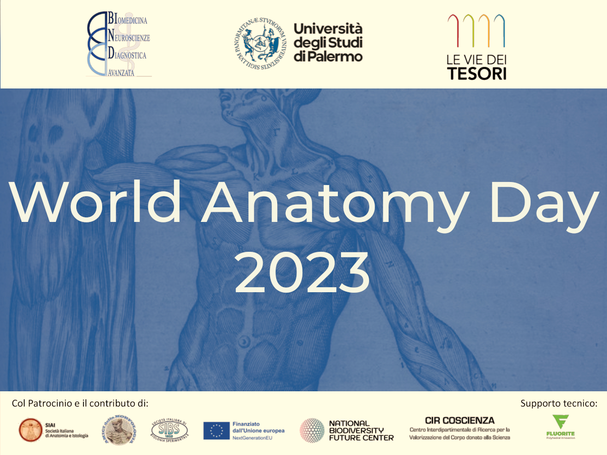 WAD 2023_3 WAD 2023_3