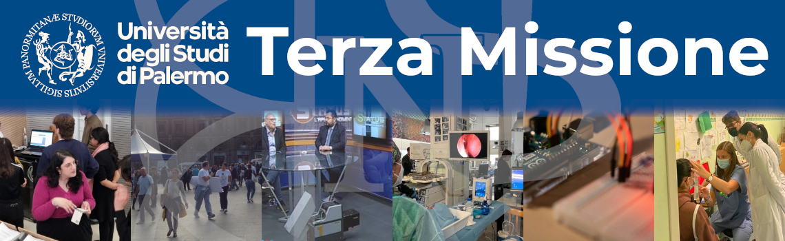 terza missione