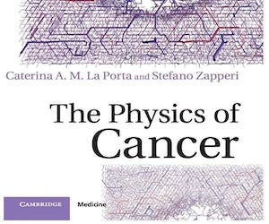 Phase transitions in cancer metastasis