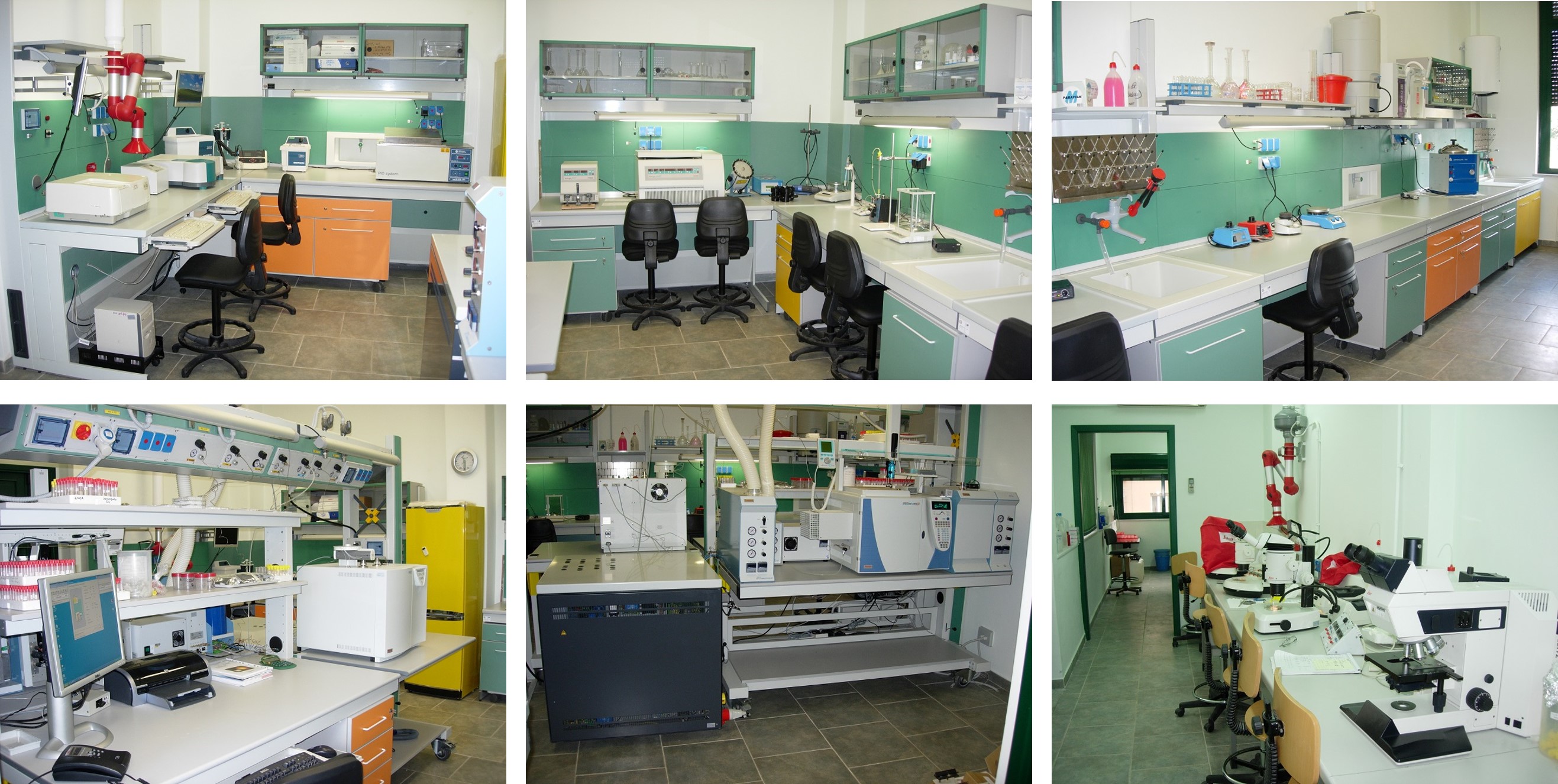 lab