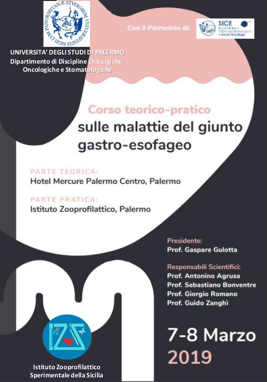 Corso_malattie_giunto_gastro-esofageo_Gulotta Corso_malattie_giunto_gastro-esofageo_Gulotta