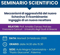 Locandina Seminario Echovirus Caruso-Caccuri_a