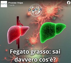 SteatosiEpatica_Petta_2