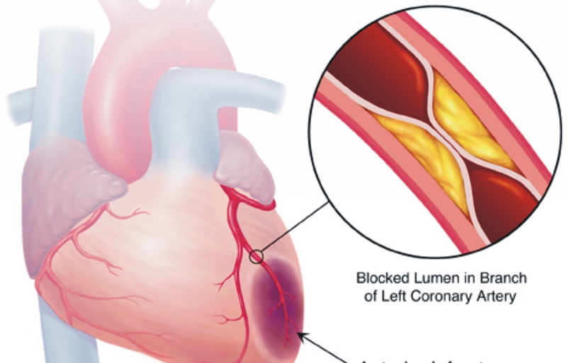 Promise_su_Logo_Unipa2