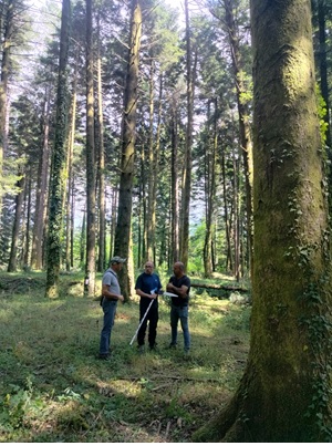 Progetto OpenDigitFor1 Progetto OpenDigitFor1