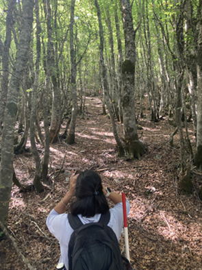 Progetto OpenDigitFor2 Progetto OpenDigitFor2