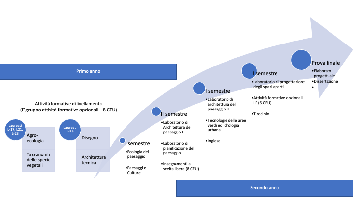 organizzazione_corso