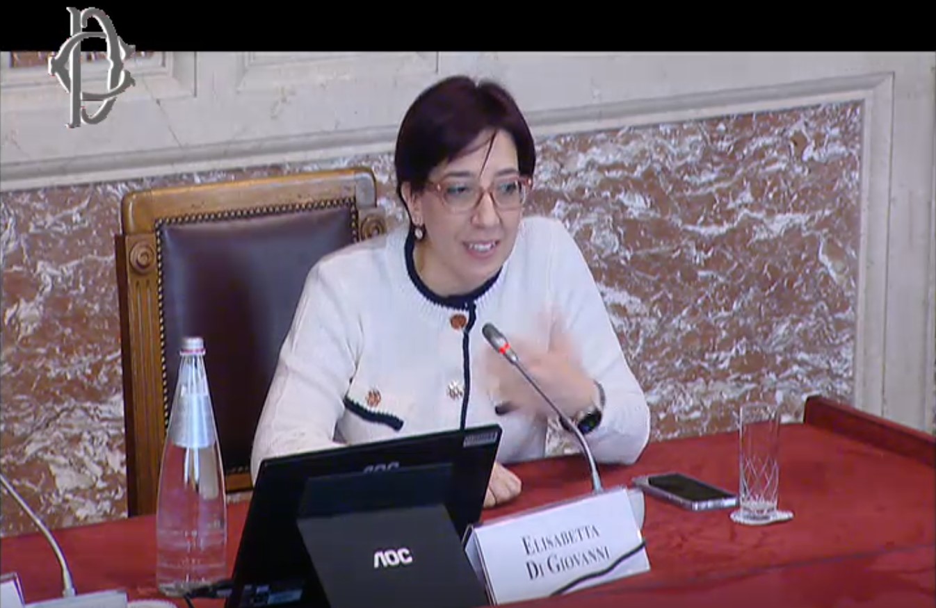 Elisabetta Di Giovanni - Pace, sicurezza e prosperità - I diritti umani in un mondo volatile, incerto, complesso e ambiguo