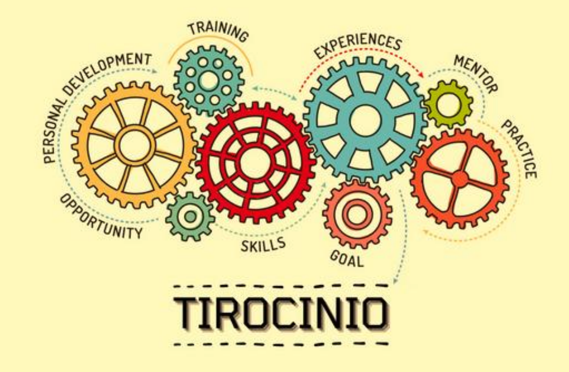 PROFESSIONE PEDAGOGISTA | Il Tirocinio curriculare della Laurea Magistrale in Scienze Pedagogiche