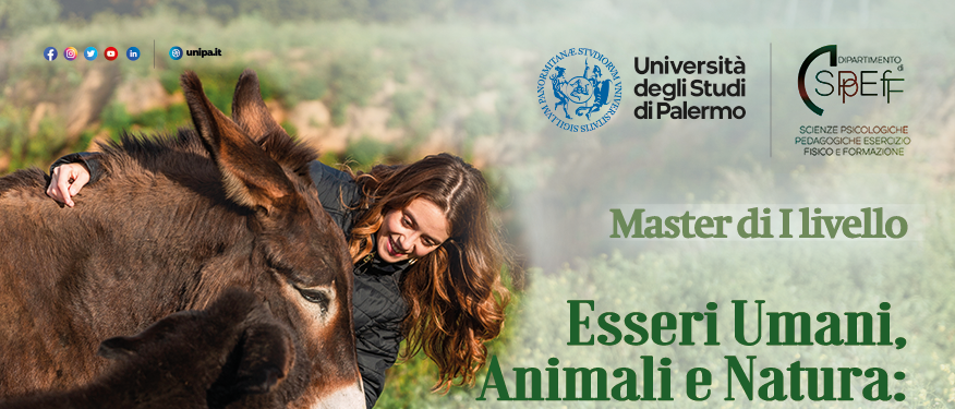 AVVISO | Master di I° Livello - Bando