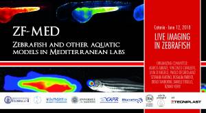 E-SHOT 2018_DEF(1) E-SHOT 2018_DEF(1)