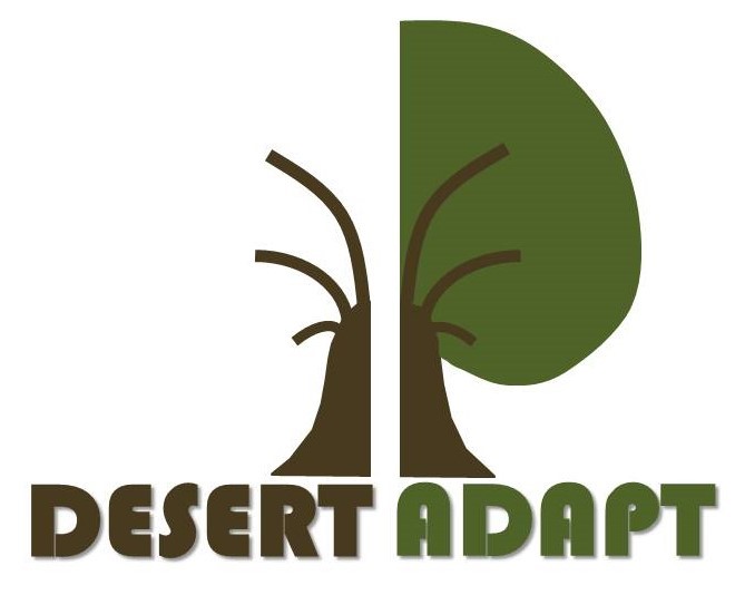 desert