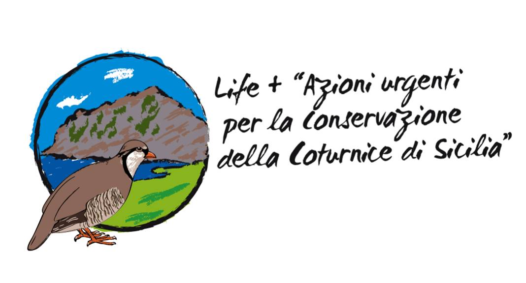 logo-coturnice