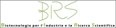 birs