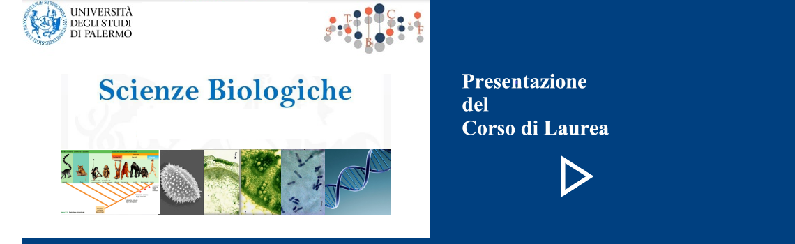 Presentazione del Corso di Laurea