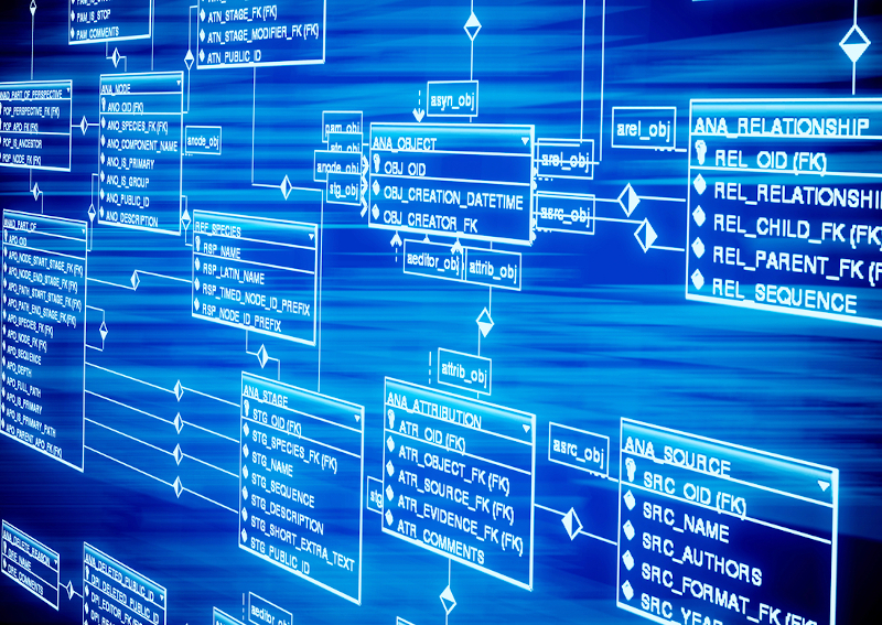 database