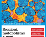 Reazioni, metabolismo e geni