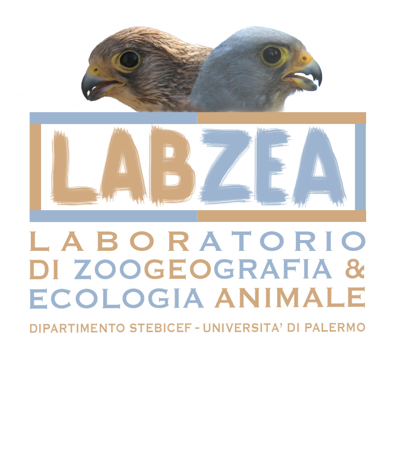 LABZEA