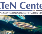 Utilizzo di Zebrafish a fini scientifici: corso nazionale di formazione
