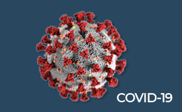 UniPa informa sui rischi di Infezione da Coronavirus 