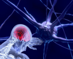 COVID-19: studio UniPa propone nuove strategie terapeutiche basate sulle neuroscienze