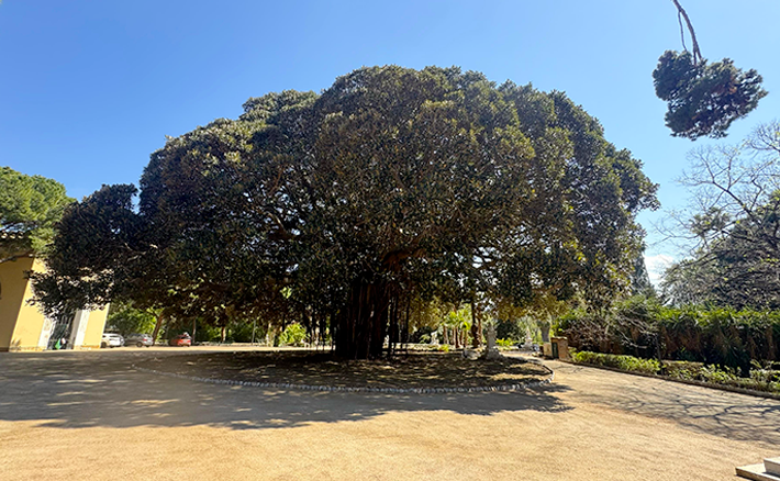UniPa collabora al restauro del Giardino Inglese di Palermo