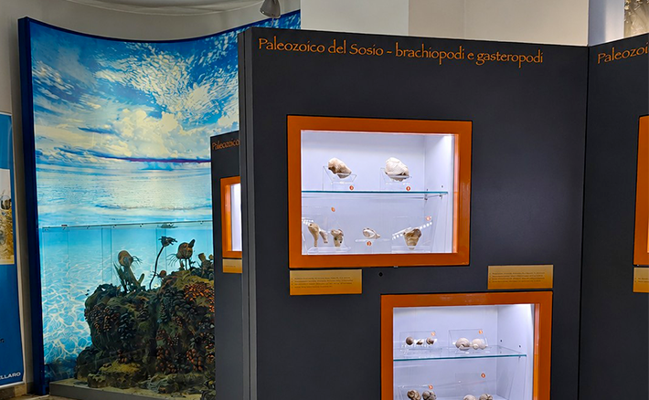 UniPa Heritage, la collezione paleontologica del Permiano del Sosio nelle geocollezioni dell'International Union of Geological Sciences