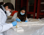 Avviata collaborazione tra il Dipartimento di Architettura e il CdLM in “Conservazione e Restauro dei Beni Culturali” del Dipartimento di Fisica e Chimica - Emilio Segrè UniPa per la valorizzazione della Collezione del Gabinetto di Disegno del DARCH