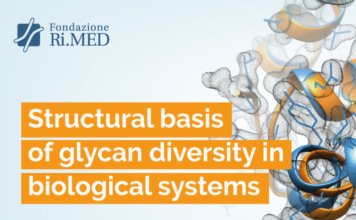 Structural basis of glycan diversity in biological systems