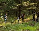 Prevenzione del fenomeno degli incendi | Studenti del SAAF spiegano su Linea Verde le attività necessarie per la ripresa floristica di un bosco dopo un rogo