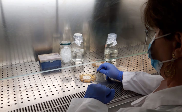 UniPa attiva una task force per l’effettuazione dei test di verifica delle mascherine chirurgiche