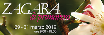 Zagara di Primavera all’Orto Botanico di UniPa