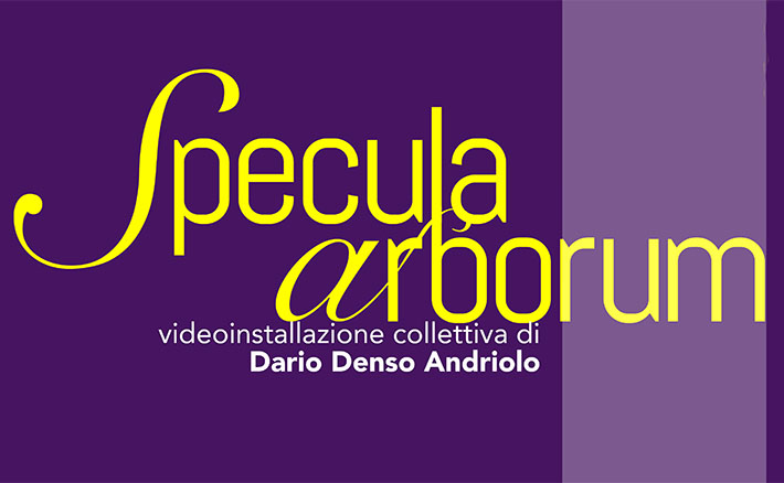 Specula arborum - Presentazione della videoinstallazione collettiva di Dario Denso Andriolo