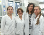 Fibrosi cistica | UniPa e Telethon depositano brevetto internazionale grazie alla scoperta del team di ricerca di chimici farmaceutici dell’Ateneo