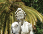 Il Rotary promuove una raccolta fondi per l’Orto Botanico
