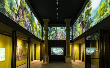 Il Pianeta delle Piante: inaugurata la nuova Sala Tineo all’Orto Botanico di Palermo tra proiezioni immersive ed erbari digitali