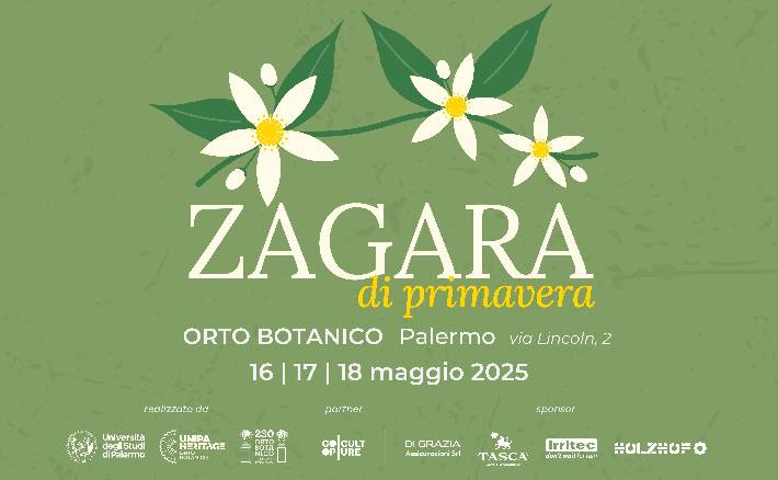 Zagara di primavera 2025