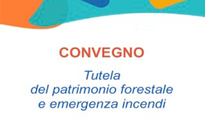 Convegno 